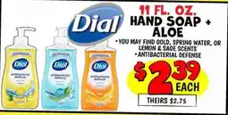 Ollie's DIAL HAND SOUP+ ALOE offer