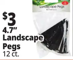 Ocean State Job Lot 4.7 Landscape Pegs offer