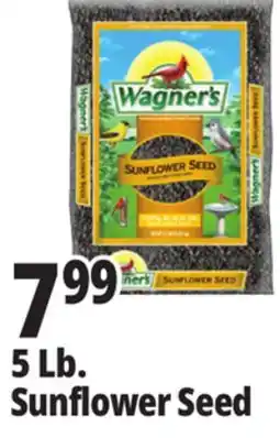 Ocean State Job Lot 5 Lb. Sunflower Seed offer