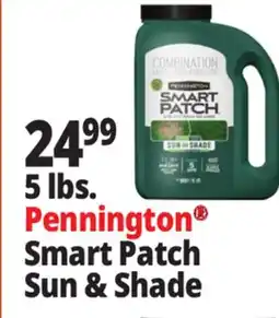 Ocean State Job Lot Smart Patch Sun & Shade offer