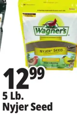 Ocean State Job Lot Nyjer Seed offer