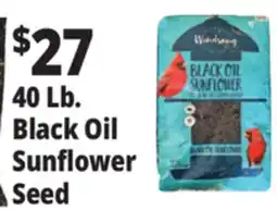 Ocean State Job Lot 40 Lb. Black Oil Sunflower Seed offer