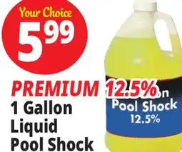 Ocean State Job Lot PREMIUM 12.5% 1 Gallon Liquid Pool Shock offer