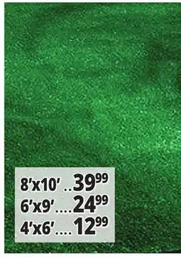 Ocean State Job Lot All Weather Artificial Turf offer