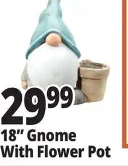 Ocean State Job Lot 18 Gnome With Flower Pot offer