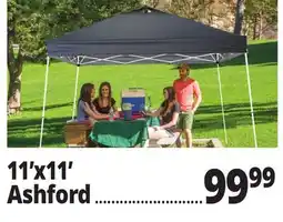 Ocean State Job Lot 11' x 11' Ashford offer