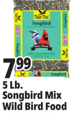Ocean State Job Lot SonSongbird Mix Wild Bird Food offer