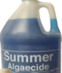 Ocean State Job Lot 1 Gallon Algaecide offer