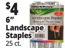 Ocean State Job Lot 6 Landscape Staples offer