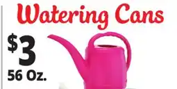 Ocean State Job Lot Watering Cans offer
