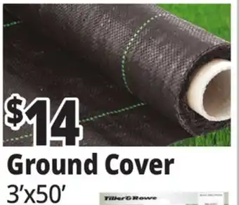 Ocean State Job Lot Ground Cover offer