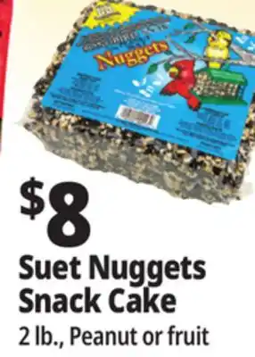 Ocean State Job Lot Suet Nuggets Snack Cake offer