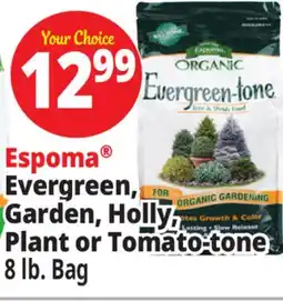 Ocean State Job Lot Evergreen, Garden, Holly, Plant or Tomato-tone offer