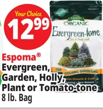 Ocean State Job Lot Evergreen, Garden, Holly, Plant or Tomato-tone offer