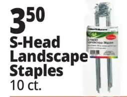 Ocean State Job Lot S-Head Landscape Staples offer