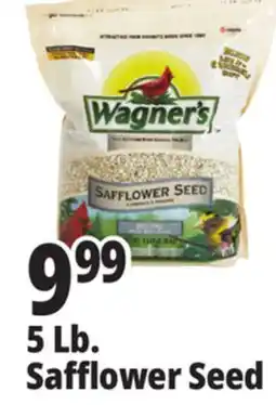 Ocean State Job Lot 5 Lb. Safflower Seed offer
