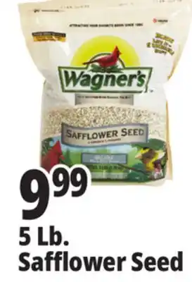 Ocean State Job Lot 5 Lb. Safflower Seed offer