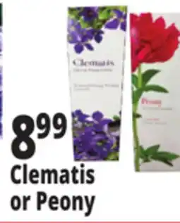 Ocean State Job Lot Clematis or Peony offer