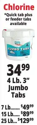 Ocean State Job Lot 4 Lb. 3 Jumbo Tabs offer