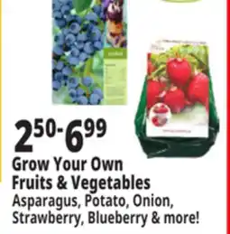 Ocean State Job Lot Grow Your Own Fruits & Vegetables offer