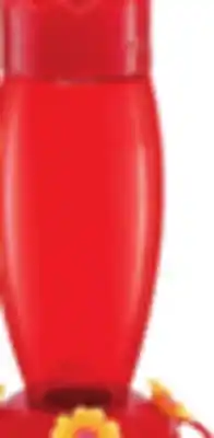 Ocean State Job Lot Plastic Hummingbird Feeder offer