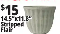 Ocean State Job Lot 14.5 x 11.8 Stripped Flair offer