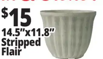 Ocean State Job Lot 14.5 x 11.8 Stripped Flair offer