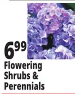 Ocean State Job Lot Flowering Shrubs & Perennials offer