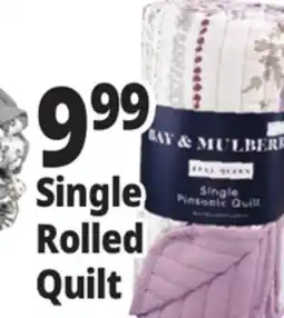 Ocean State Job Lot Single Rolled Quilt offer
