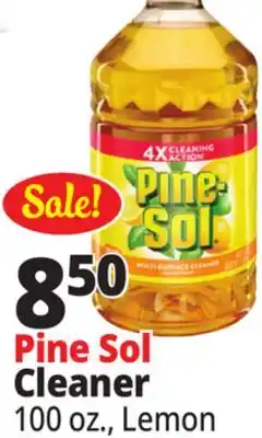 Ocean State Job Lot Cleaner offer