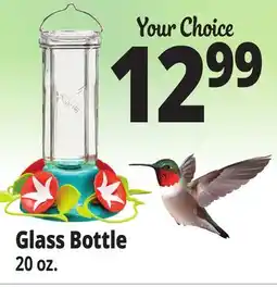 Ocean State Job Lot Glass Bottle offer
