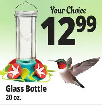 Ocean State Job Lot Glass Bottle offer
