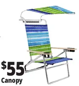 Ocean State Job Lot Beach Chairs Canopy offer