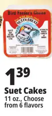 Ocean State Job Lot Suet Cakes offer