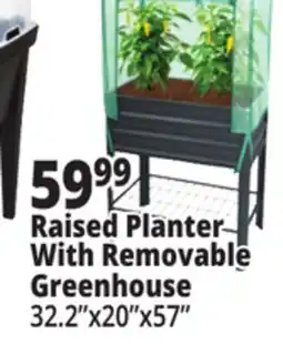 Ocean State Job Lot Raised Planter With Removable Greenhouse offer