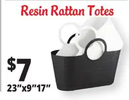 Ocean State Job Lot Resin Rattan Totes offer