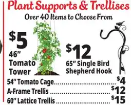 Ocean State Job Lot Plant Supports & Trellises offer