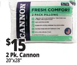 Ocean State Job Lot 2 Pk. Cannon Bed Pillows offer