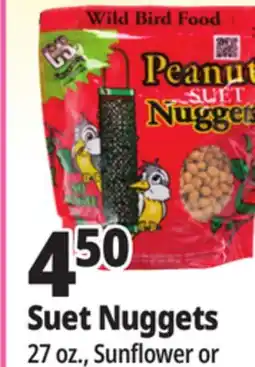 Ocean State Job Lot Suet Nuggets offer