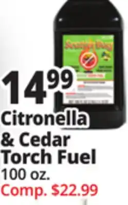 Ocean State Job Lot Torch Fuel offer