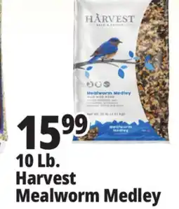 Ocean State Job Lot 10 Lb. Harvest Mealworm Medley offer
