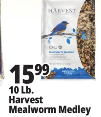 Ocean State Job Lot 10 Lb. Harvest Mealworm Medley offer