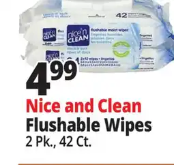 Ocean State Job Lot Nice and Clean Flushable Wipes offer