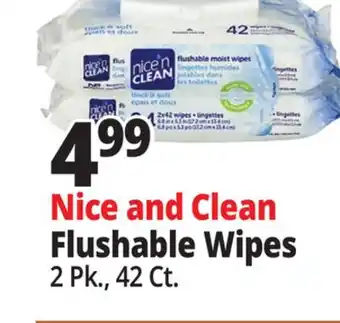 Ocean State Job Lot Nice and Clean Flushable Wipes offer