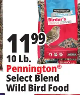 Ocean State Job Lot Select Blend Wild Bird Food offer