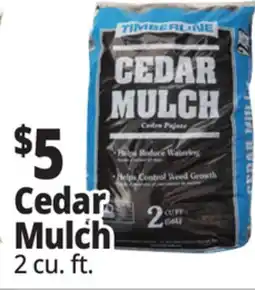 Ocean State Job Lot Cedar Mulch offer
