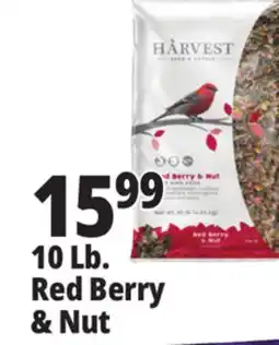Ocean State Job Lot 10 Lb. Red Berry & Nut Bird Food offer