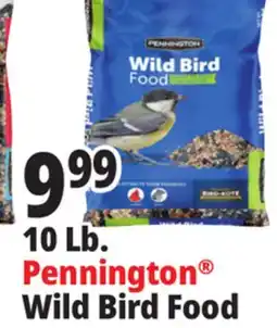 Ocean State Job Lot Wild Bird Food offer