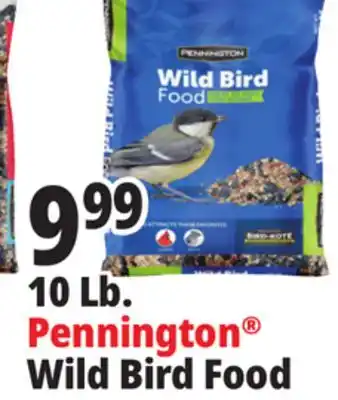 Ocean State Job Lot Wild Bird Food offer