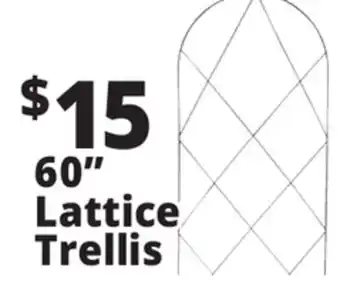 Ocean State Job Lot Lattice Trellis offer